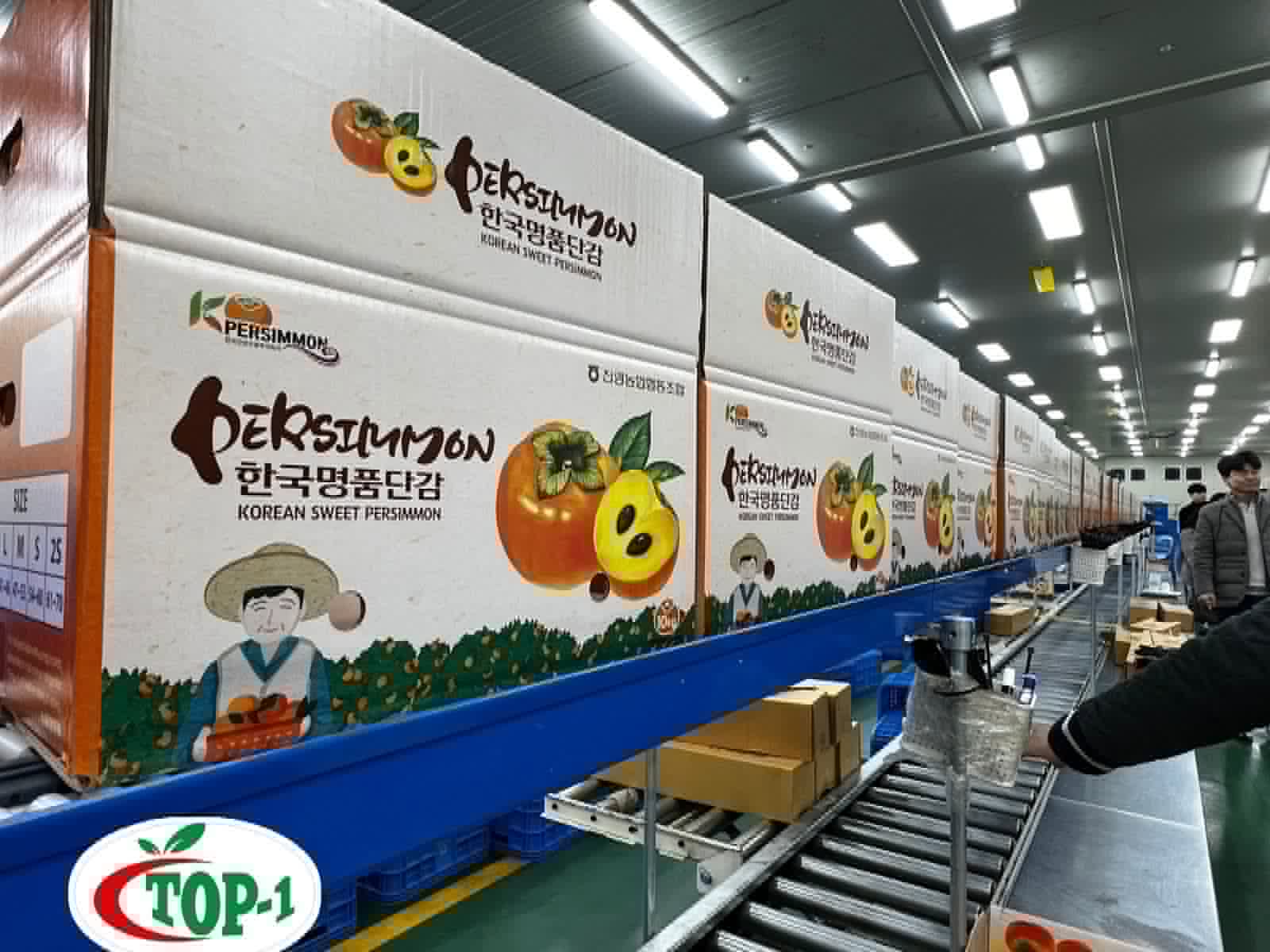 Persimmon packing facility